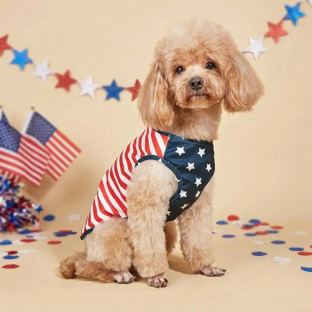 4th of July Patriotic Dog Dress & Pet Vest | Independence Day Pet Outfit