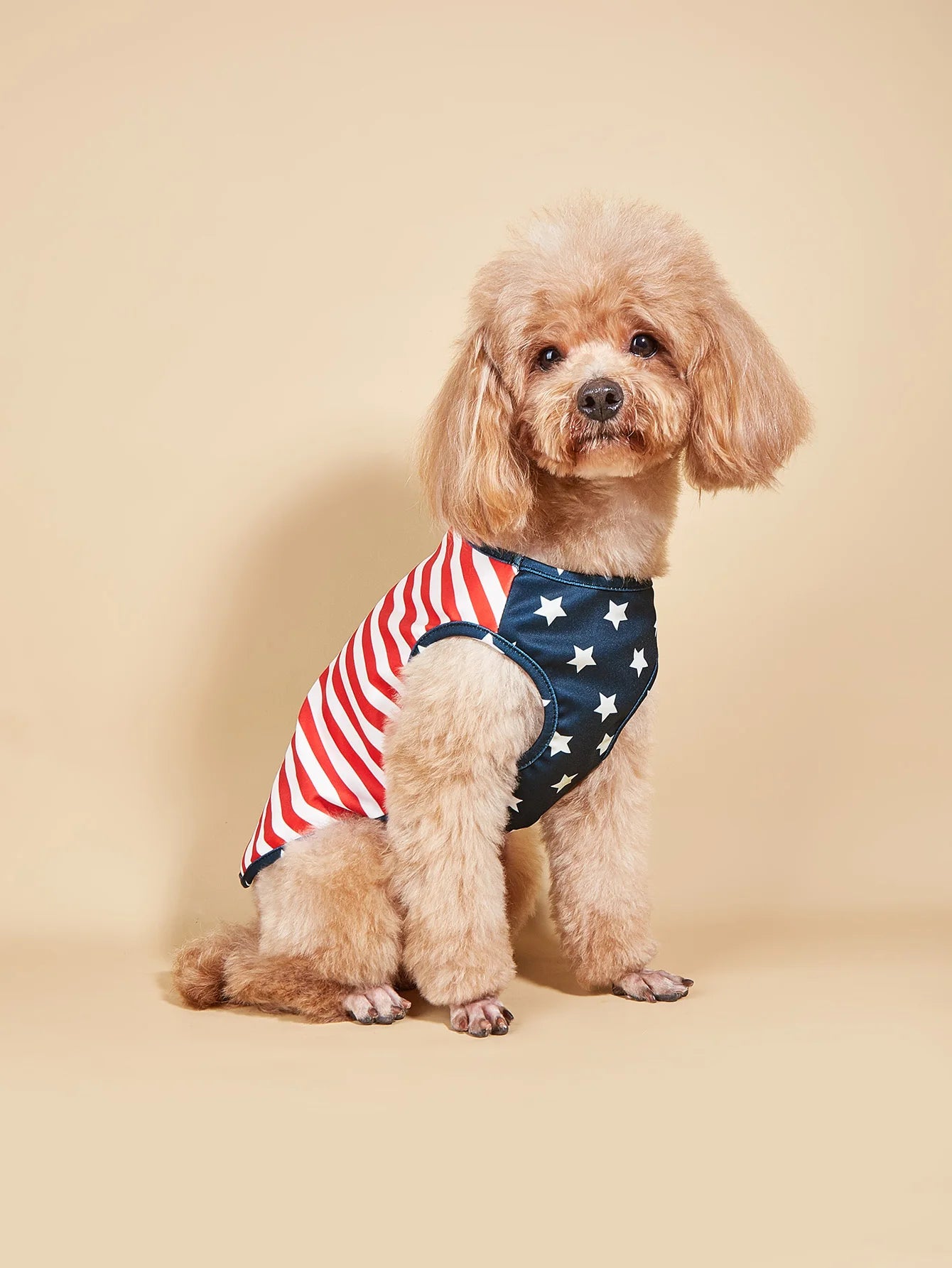 4th of July Patriotic Dog Dress & Pet Vest | Independence Day Pet Outfit